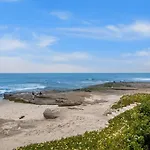 Beachfront Oasis